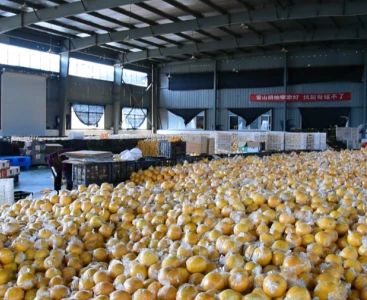 順豐快遞給手動(dòng)液壓搬運(yùn)車消毒，保障生鮮瓜果食品安全